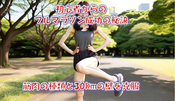 初心者からのフルマラソン成功の秘訣：筋肉の種類と30kmの壁を克服
