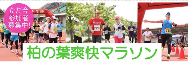 柏の葉爽快マラソンの大会案内。芝生走り込み後の実力測定として選んだフルマラソン - 第41章