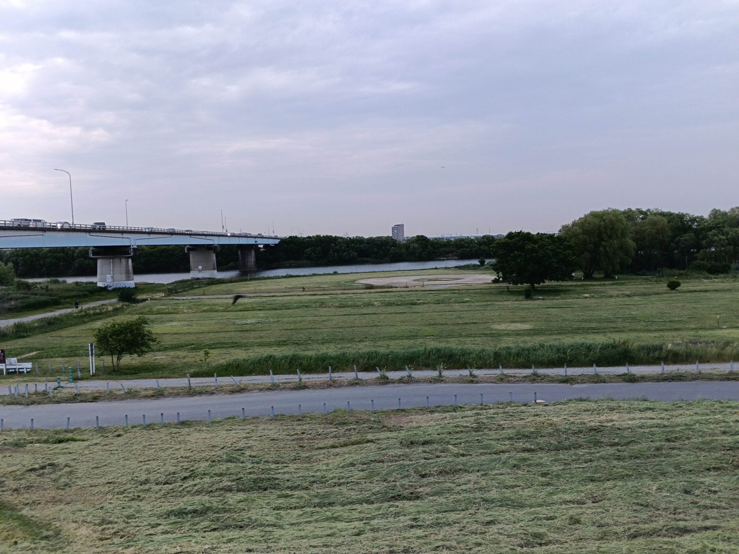 江戸川河川敷の芝生と橋を望む夕方の風景 - 野辺山100kmウルトラマラソン後にサブエガ返り咲きを決意した最初の回復ラン