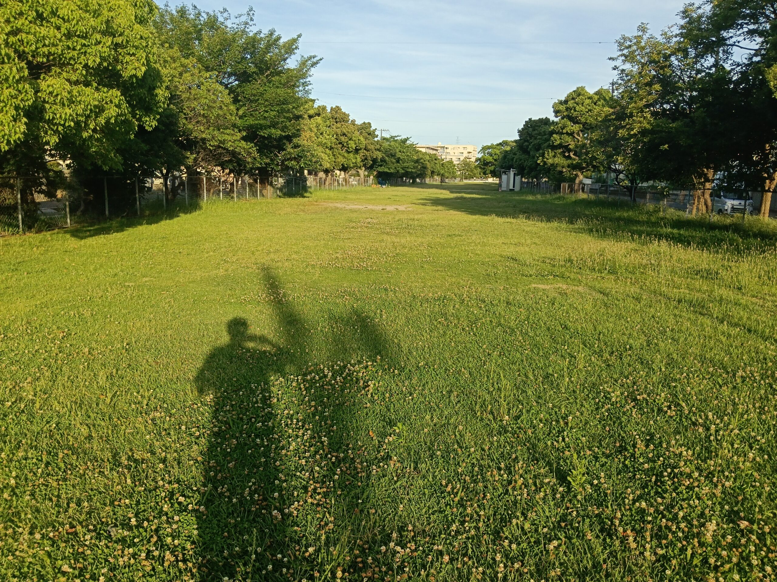 夕方の芝生コースに伸びるランナーの影 - 松戸六高台でマリンシューズ芝生10kmビルドアップ
