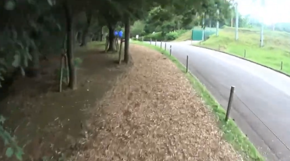 岩名運動公園のウッドチップ製クロスカントリーコースの走路 木立に囲まれた不整地 - 薄底クロカン30km走