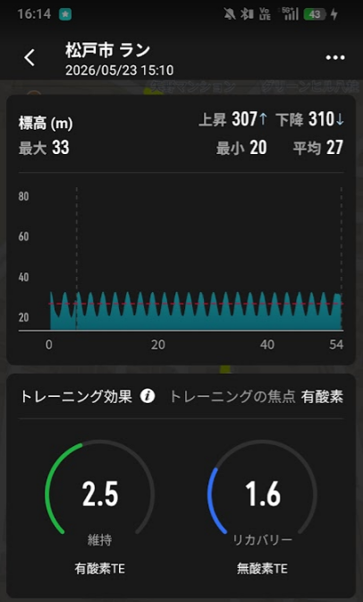 Garmin標高グラフ47本の鋸歯波形と累積上昇307m - 坂道往復ファルトレクのトレーニング効果画面