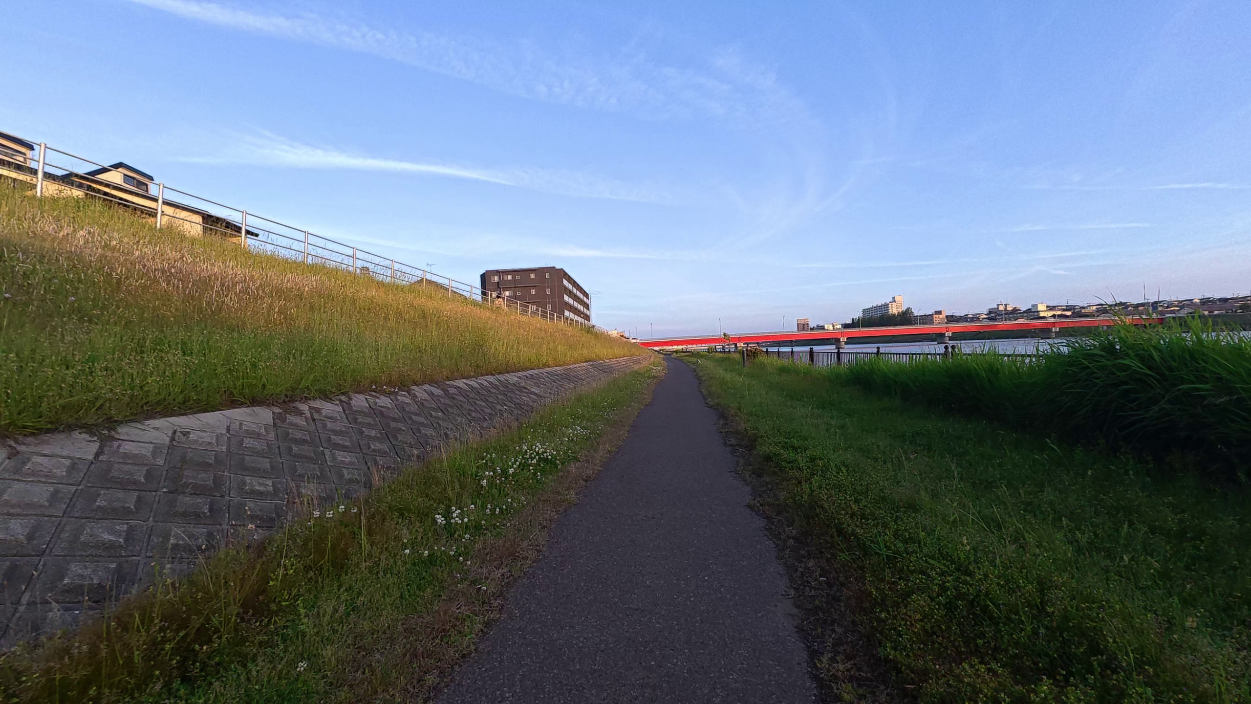 信濃川やすらぎ堤の舗装ランニングロードと赤い橋 - 新潟出張ラン14kmコース紹介