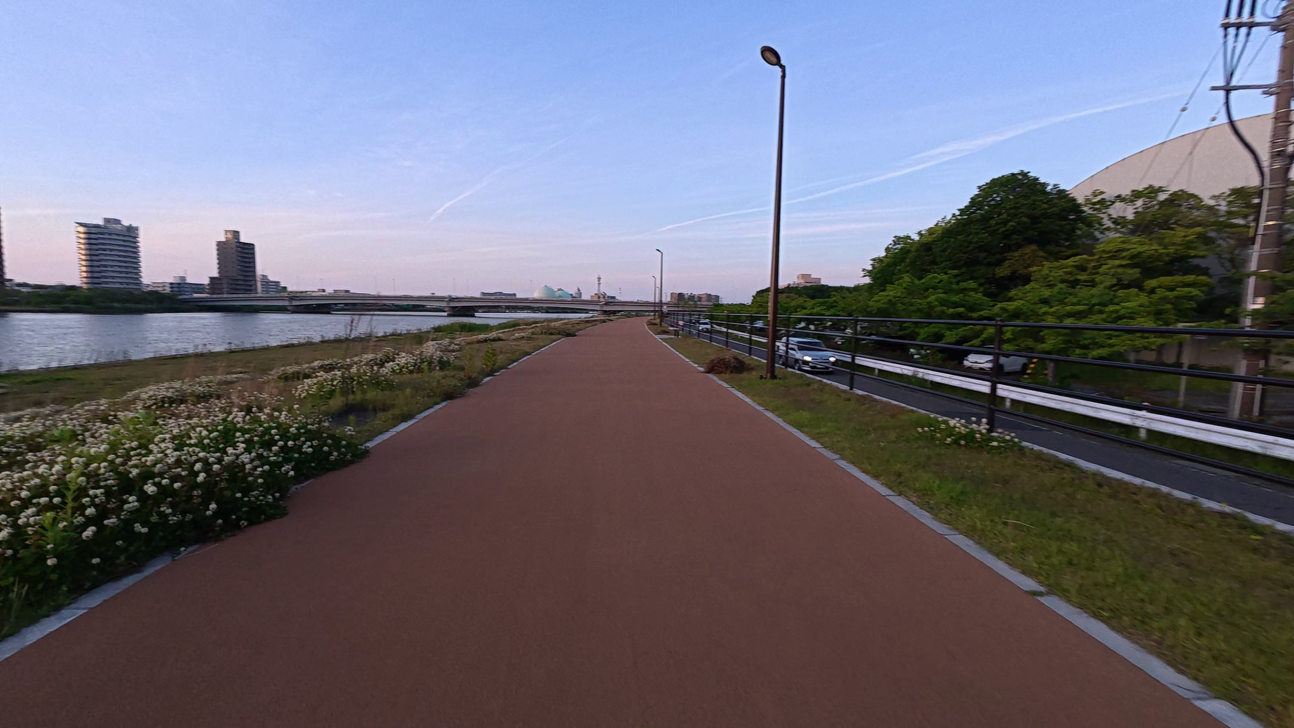 信濃川やすらぎ堤レッドコースのランニング舗装路と街並み - 新潟旅ラン14kmフィニッシュ区間