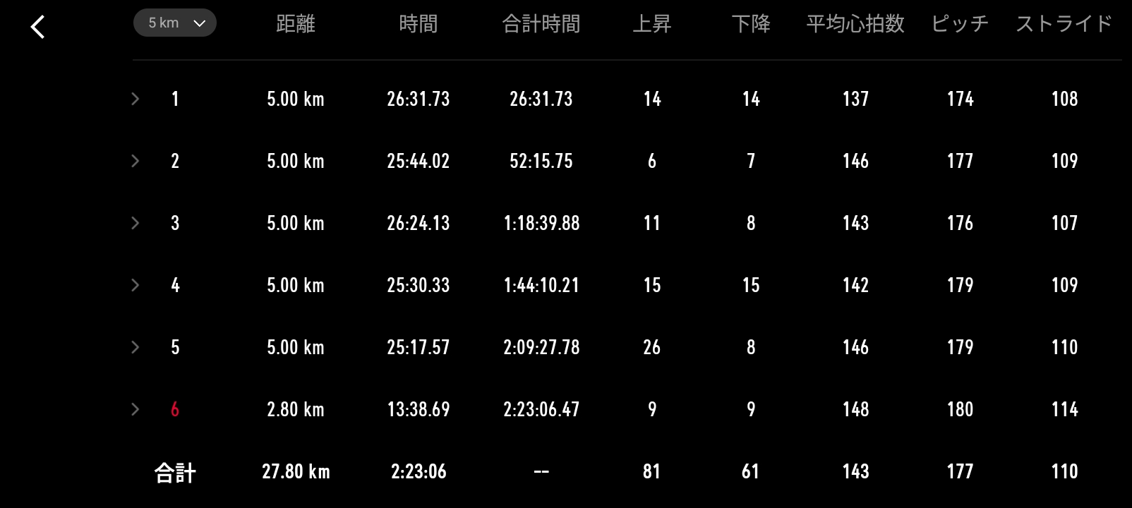 Garmin 5kmラップ詳細・ピッチ・ストライド表示 - イージーペースロングジョグの実測値