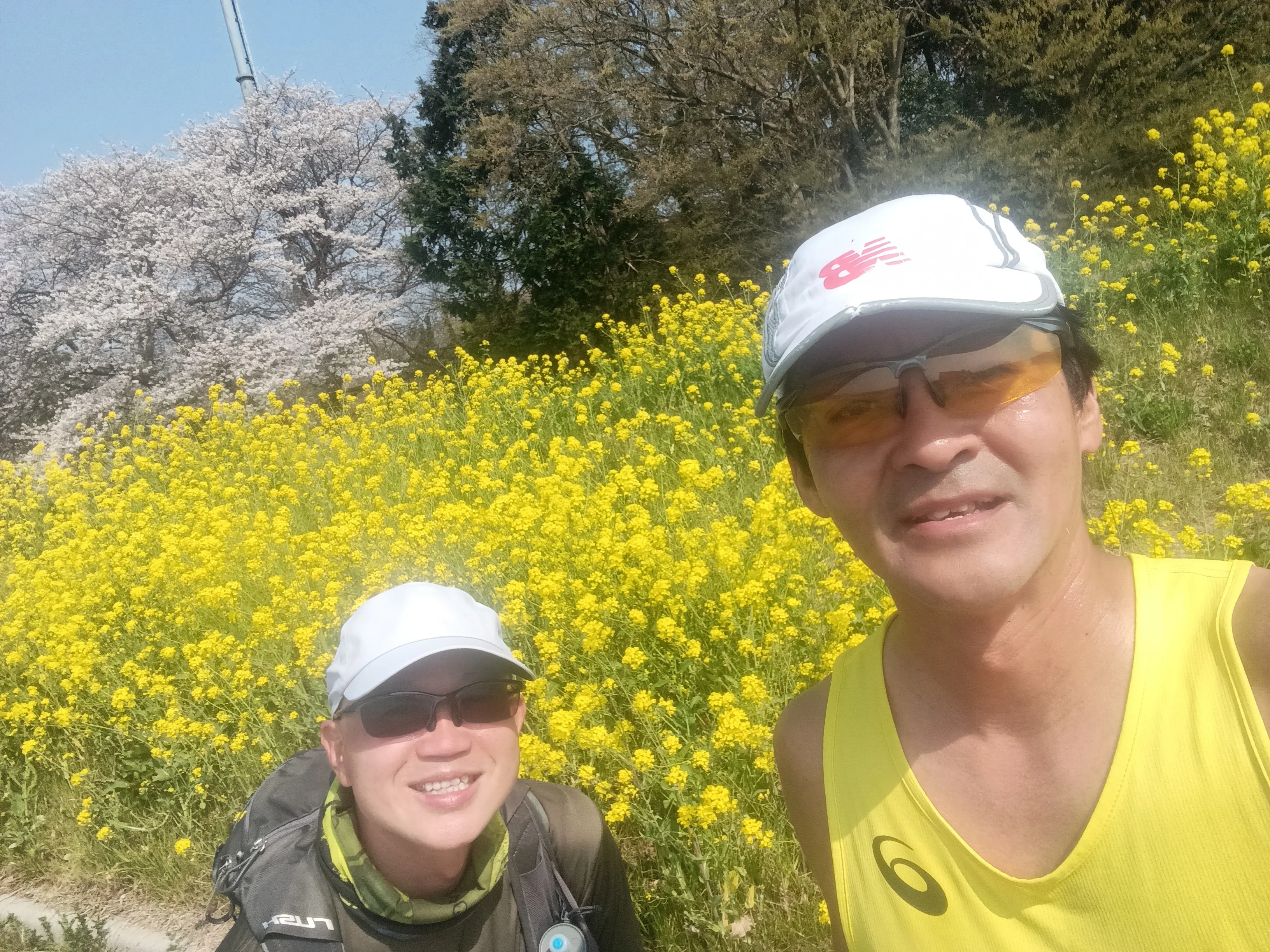 桜と菜の花の前で二人のランナーがセルフィー - 春の絶景ランニングコース