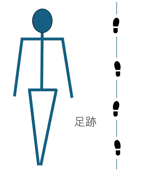骨盤の前傾と回旋でストライドが伸びる仕組み - 股関節と骨盤の使い方