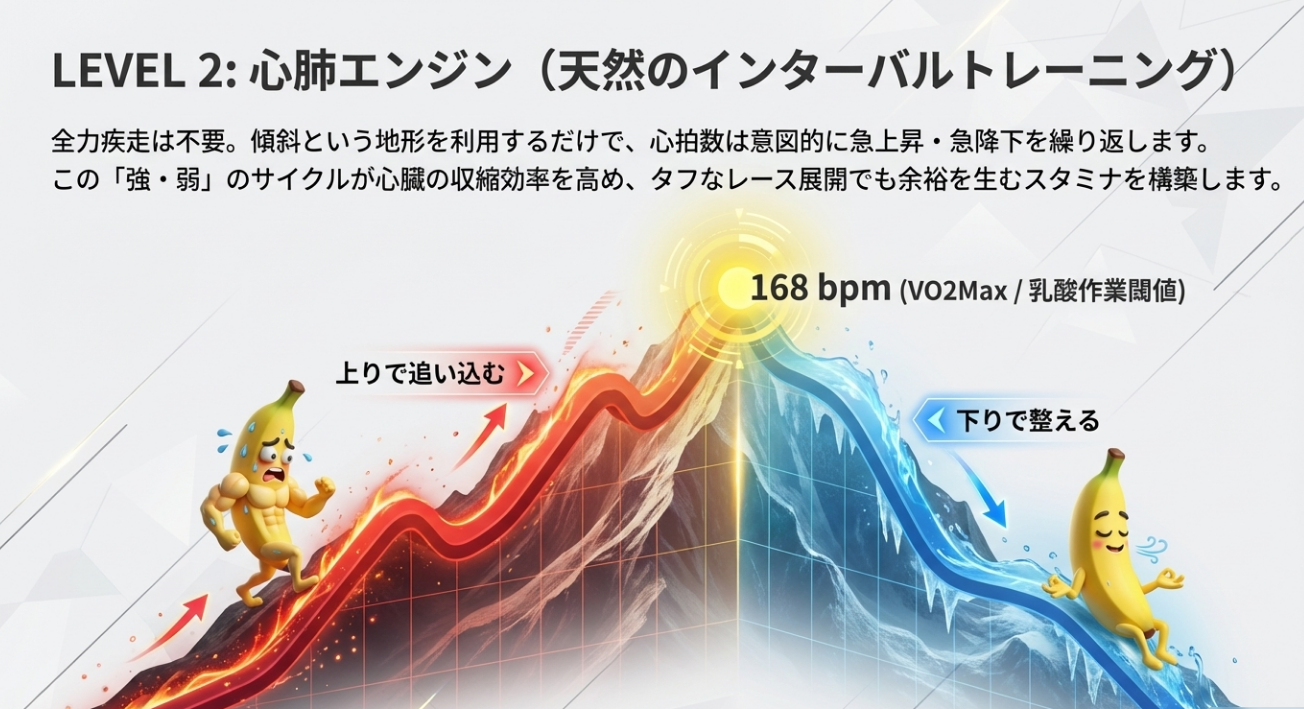 坂道インターバルによる心拍数の推移グラフ。上りで最大酸素摂取量を刺激し下りでリカバリーする様子