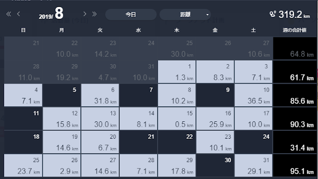2019年8月の月間走行距離319kmを示すランニングログ画面。サブスリー挑戦期の走行実績