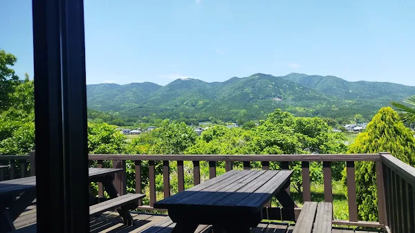 連続するゆるやかな坂道。フォームを意識して登るのに最適