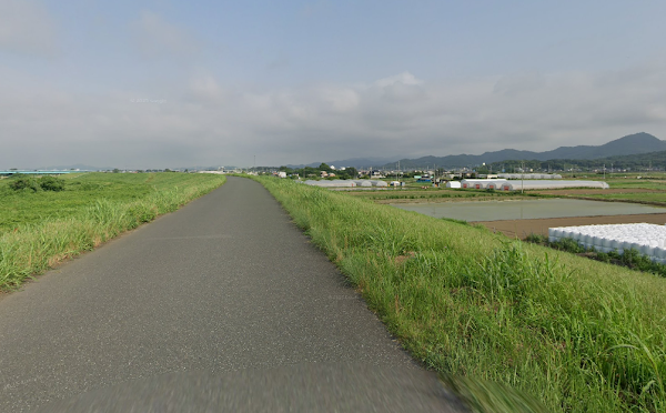 足利尊氏マラソン2025コース中盤(10〜15km)の堤防区間。渡良瀬川沿いのフラットな道が続き、風を受けやすいがペースを安定させやすい景観ルート。