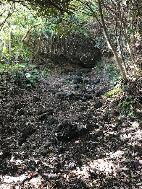 伊豆大島の絶景ポイントを走りながら撮影した未舗装の山道 - 第20章