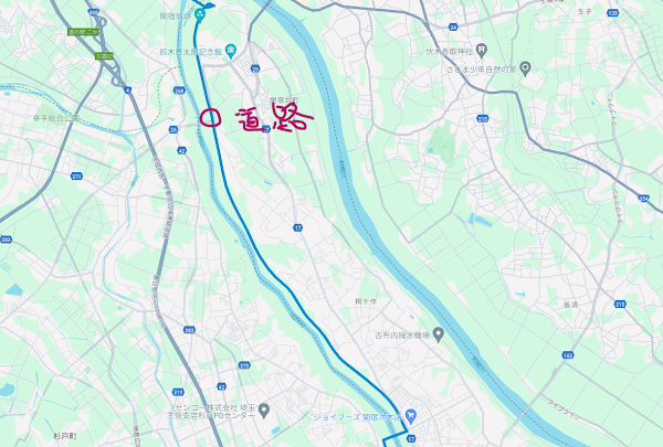 関宿城方面へ向かう江戸川河川敷のランニングコースの直線道