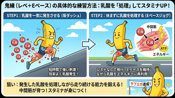 レペ＋Eペースを組み合わせた鬼練習で、坂ダッシュ後に乳酸を処理しながら走る仕組みをバナナのキャラクターで解説した図解イラスト