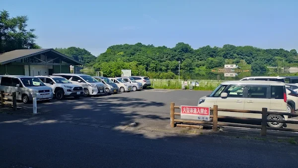 筑波山峠走の起点となるつくし湖の無料駐車場。広々として停めやすい