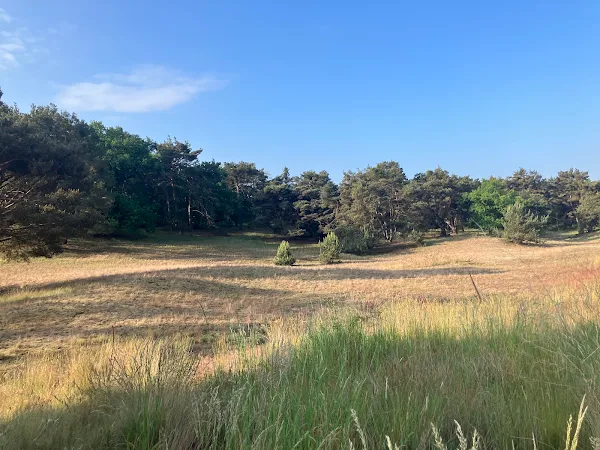 遠くの山並みを望む広大な牧草地。自然の雄大さと開放感を感じる風景。