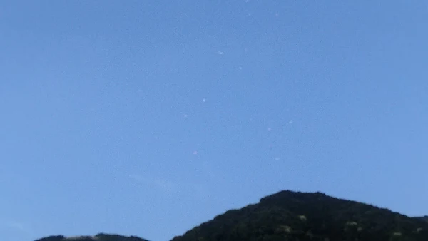 筑波山の山道。舗装されているが周囲は豊かな自然に囲まれている