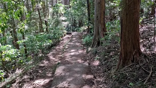 筑波山神社の入り口付近。歴史的な佇まいに背中を押される