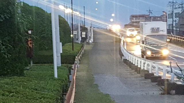 陸橋を使った坂道ジョグで脚力強化を行うトレーニング風景