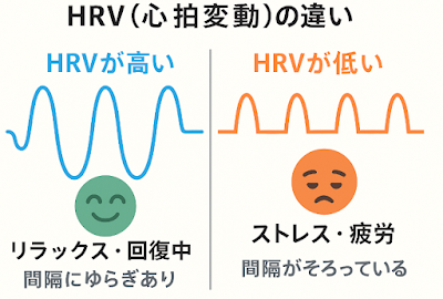 RingConnは睡眠・HRV・回復スコアを測れる - スマートリングレビュー
