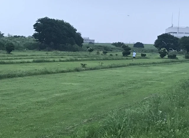 真夏の芝生広場で行うサブスリー5か月前の基礎トレーニング風景