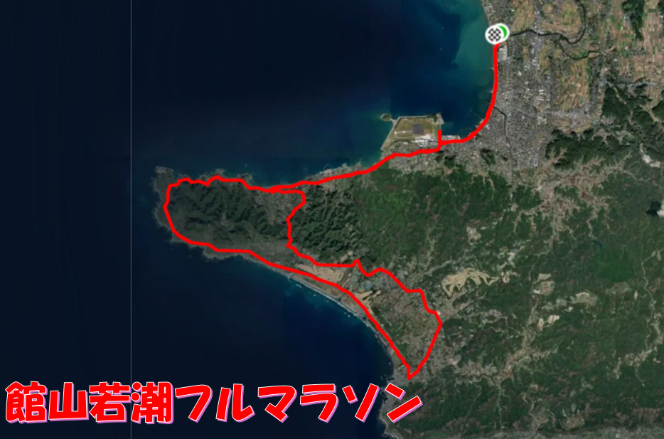 館山若潮マラソン2025 完走レポート＆攻略法！挑戦を振り返る