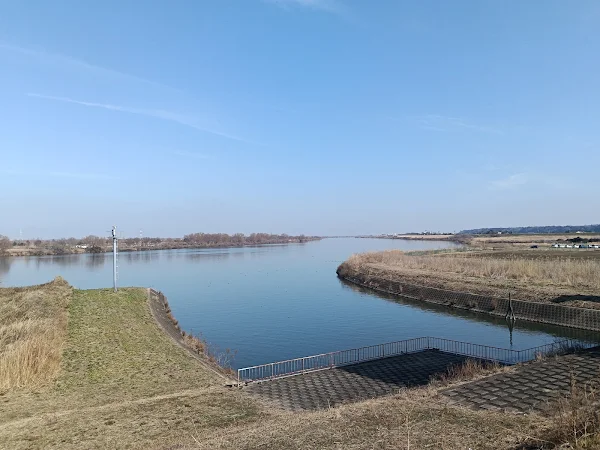 澄み渡る空の下、ゆったりと流れる利根川。手前にはコンクリートの堤防と手すりがあり、遠くの対岸まで見渡せるパノラマのような景色です。