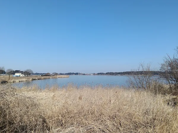 穏やかに広がる冬の手賀沼の湖面と、その横に続く平坦なランニングコースの風景