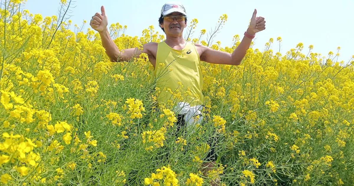 菜の花＆桜の絶景60km走｜流山→谷中湖・ラストスパート4分台で快走