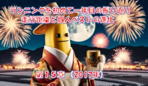 ランニング1年目の振り返り｜10kmが75分→42分台に伸びた初心者の全データ – 第15章(2017年総括)