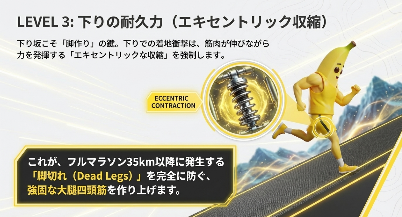 エキセントリックな筋収縮