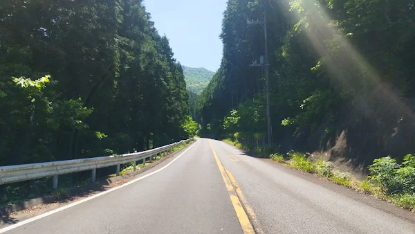最高地点から見下ろす絶景。苦労したランナーだけが見られるご褒美
