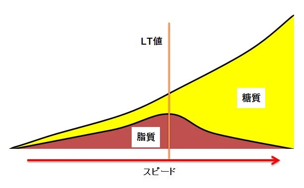 乳酸性閾値が向上することで速いスピードを長時間維持できることを示したイメージ図