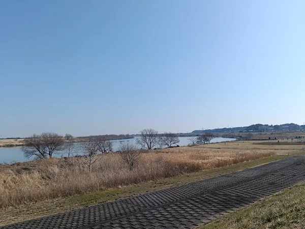 青空の下、利根川沿いに広がる冬枯れの河川敷。手前には石畳のように舗装された遊歩道が奥へと続いています。