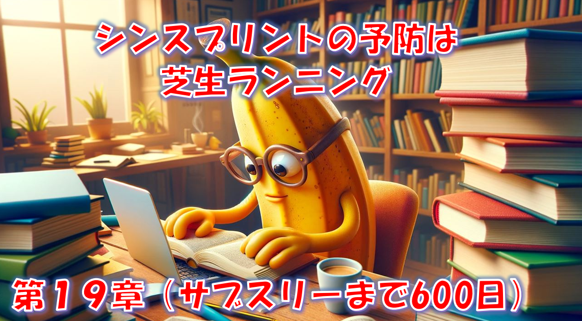 シンスプリントの予防は芝生ランニング - 第19章（サブスリーまで600日）