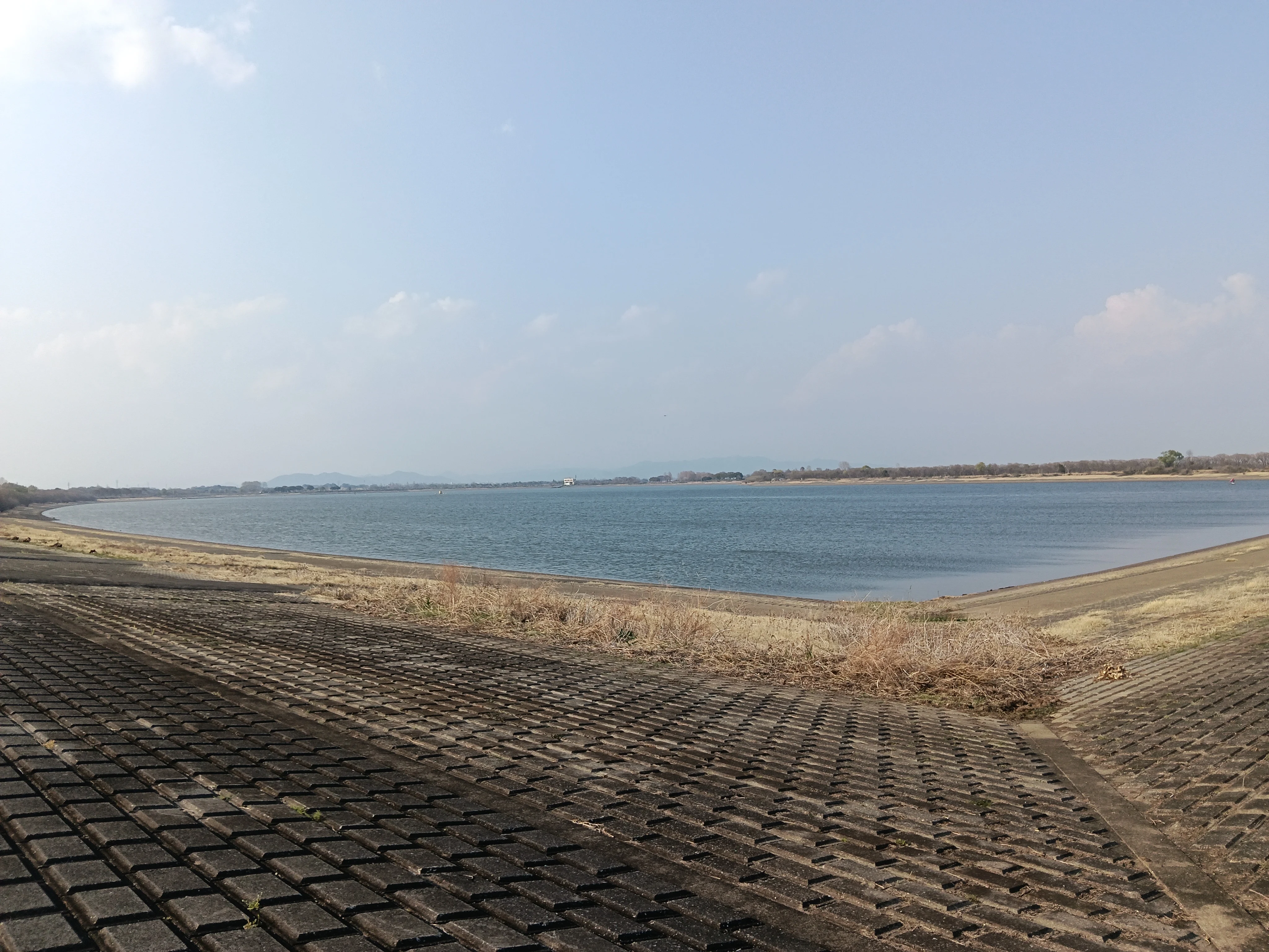 渡良瀬遊水地・谷中湖の青い湖面とダム法面 - ウルトラマラソン練習ゴール地点