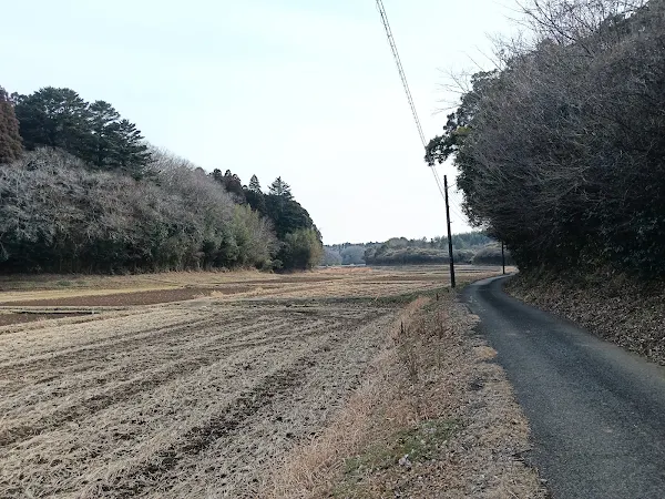 冬の里山に囲まれた、緩やかに登りながらカーブしていく細いアスファルトのランニングルート