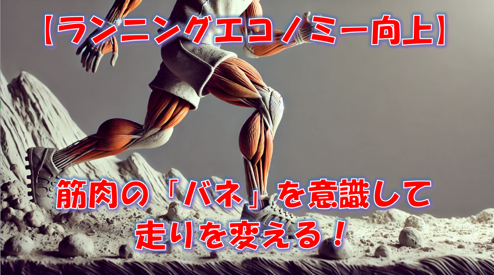 【ランニングエコノミー向上】筋肉の「バネ」を意識して走りを変える！効率的なフォームと膝の角度を解説