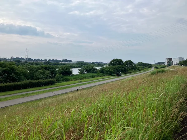 ランニング道からの川の眺め