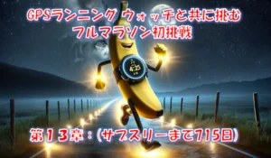 初フルマラソンは31kmで撃沈｜GPSウォッチで月175km走った先の「30kmの壁」 – 第13章(サブスリーまで715日)