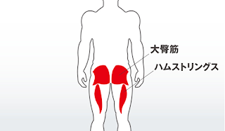 股関節伸展を高めるドリルの動き - トレーニング実践