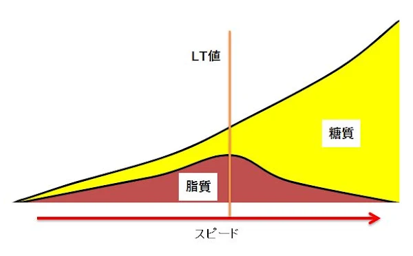 ランニング中に乳酸性閾値（LT値）を示した図解イメージ。スピードと持久力の関係を表している