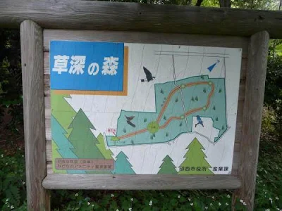 草深の森ランニングコースでの初回ランニング履歴 - 第40章