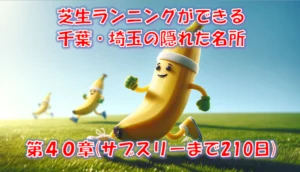 芝生ランニングで走りが激変｜千葉・埼玉の不整地コースと練習法まとめ – 第40章（サブスリーまで210日）