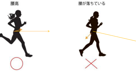 ヘッドライト