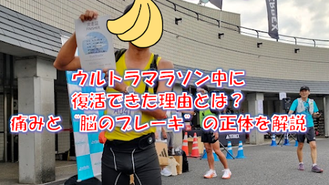 みなの75k