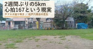 2週間のランオフ明けに芝生5km｜ゆるジョグのつもりが心拍167・張りは出たが痛みはない｜サブエガ返り咲き