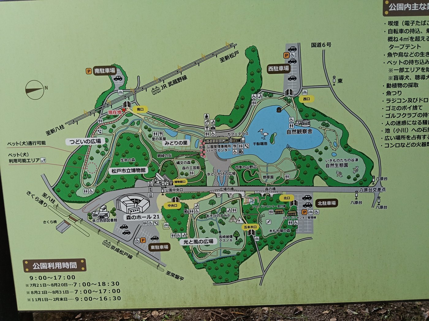 21世紀の森と広場の案内図 - 南口・つどいの広場・千駄堀池など園内の全体像