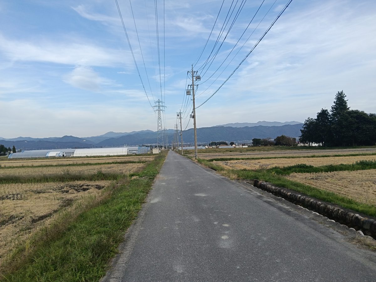 田んぼの間をまっすぐ延びる細い道と、遠くの山並み