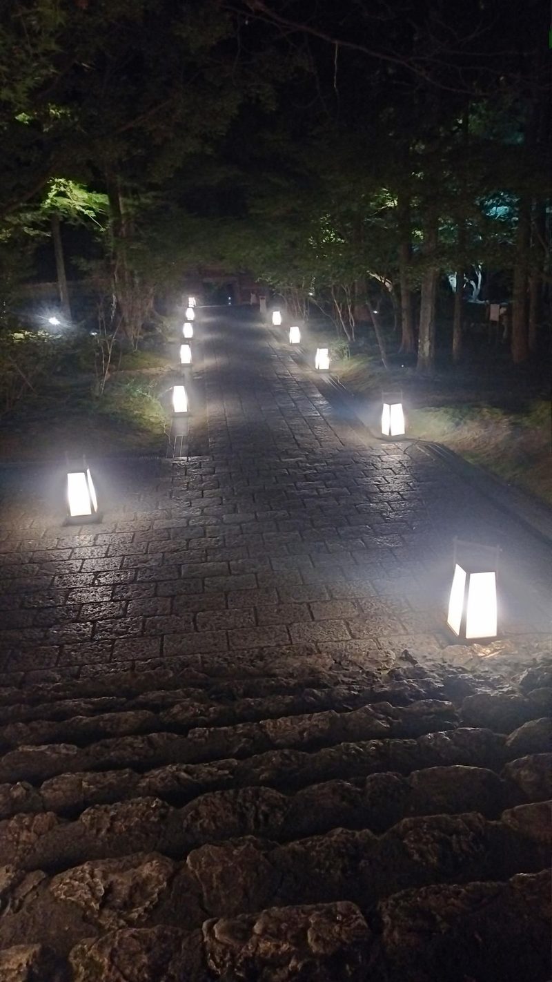 夜の竹林寺の参道